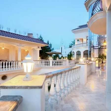 Le Premier - Maestro