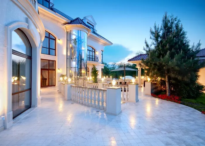 Le Premier - Maestro