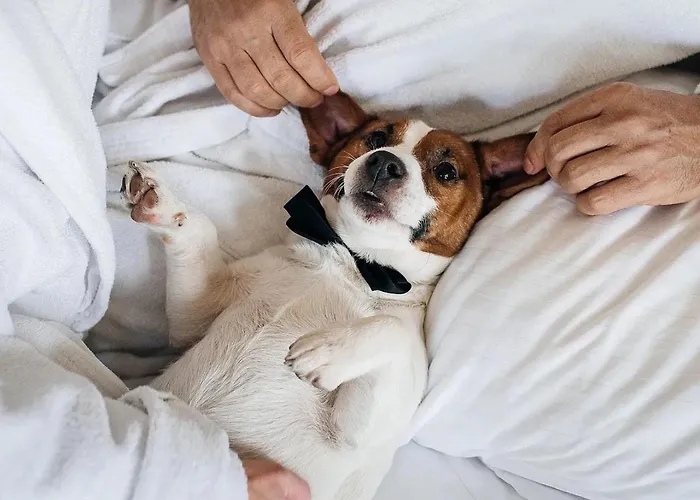 Hotel Le Premier - Maestro Odessa