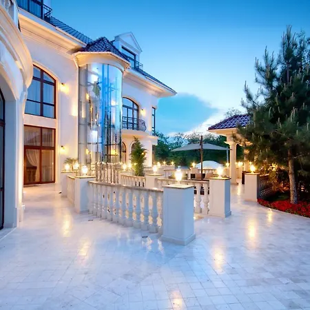 Le Premier - Maestro