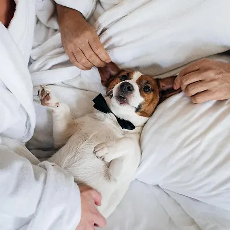 Hotel Le Premier - Maestro Odesa